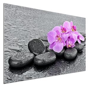 Panel do kuchyně Orchidej kamení pksh-69189175