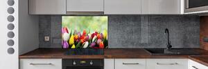 Panel do kuchyně Barevné tulipány pksh-69344290