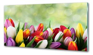 Panel do kuchyně Barevné tulipány pksh-69344290