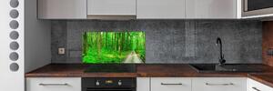 Panel do kuchyně Stromy v lese pksh-69570264