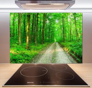 Panel do kuchyně Stromy v lese pksh-69570264