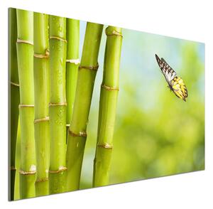 Panel do kuchyně Bambus a motýl pksh-69817087