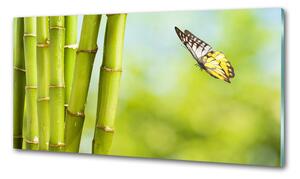Panel do kuchyně Bambus a motýl pksh-69817087