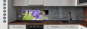 Skleněný panel do kuchyně Levandule pksh-70339730