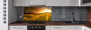 Panel do kuchyně Panorama Tater pksh-70560104