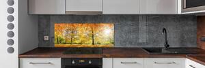 Dekorační panel sklo Podzimní les pksh-70578437