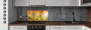 Dekorační panel sklo Podzimní les pksh-70578437