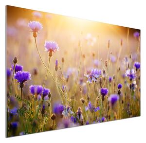 Dekorační panel sklo Plolní květiny pksh-70602610