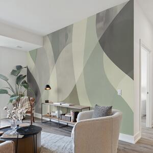 Fototapety Jemné křivky v tlumených tónech s plynulými liniemi a zelenými přechody, minimalistické a moderní, Fototapety moderní, w01334 : uwalls.cz