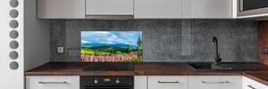 Panel do kuchyně Levandule v horách pksh-71828150