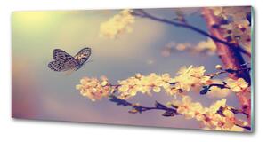 Panel lacobel Květ viště a motýl pksh-72331211