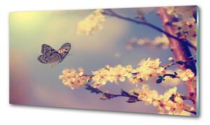 Panel lacobel Květ viště a motýl pksh-72331211