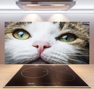 Panel do kuchyně Zelené kočičí oči pksh-72425776