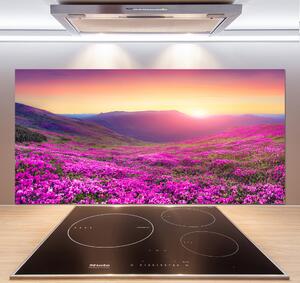 Panel do kuchyně Růžové kopce pksh-72586785