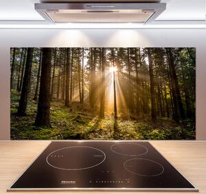 Panel do kuchyně Sluneční světlo pksh-72706491