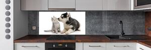 Dekorační panel sklo Pes a kočka pksh-73561386