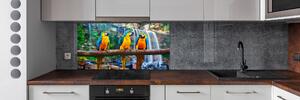 Panel do kuchyně Papoušci na větvi pksh-73798954