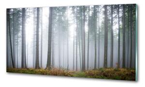 Dekorační panel sklo Mlha v lese pksh-74026356