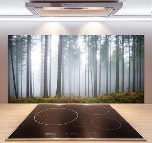 Dekorační panel sklo Mlha v lese pksh-74026356