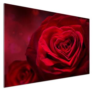 Panel lacobel Červená růže srdce pksh-75608886
