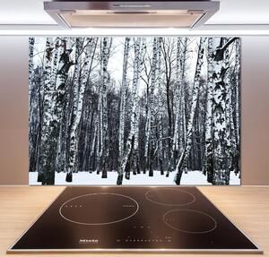 Dekorační panel sklo Břízy zima pksh-76031939