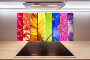 Panel do kuchyně Barevné květiny pksh-76360035