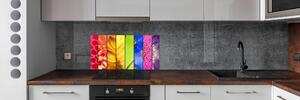 Panel do kuchyně Barevné květiny pksh-76360035