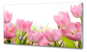 Panel do kuchyně Růžové tulipány pksh-76412458
