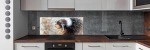 Skleněný panel do kuchynské linky Indiánka pksh-76650500