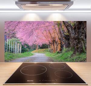 Dekorační panel sklo Květy višně pksh-77554228