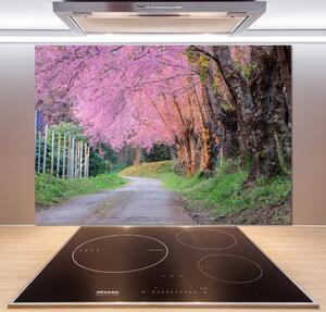 Dekorační panel sklo Květy višně pksh-77554228