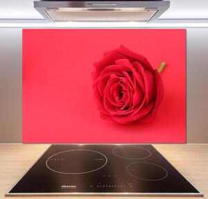 Panel do kuchyně Červená růže pksh-77656963