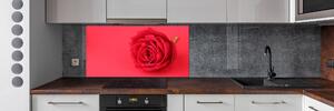 Panel do kuchyně Červená růže pksh-77656963