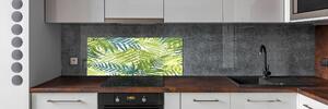 Panel do kuchyně Kapradina vzor pksh-78215307