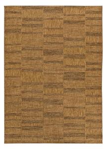 Hnědý venkovní koberec 120x170 cm Guinea Natural – Universal