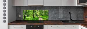 Dekorační panel sklo Břízový les pksh-78692232