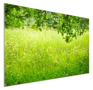 Dekorační panel sklo zelená louka pksh-78819198