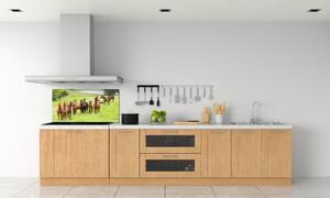 Panel do kuchyně Stádo koní na louce pksh-79057196