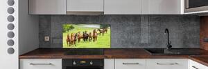 Panel do kuchyně Stádo koní na louce pksh-79057196