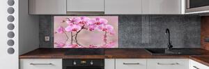 Panel do kuchyně Růžová orchidej pksh-79883275
