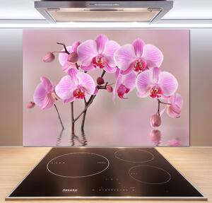 Panel do kuchyně Růžová orchidej pksh-79883275