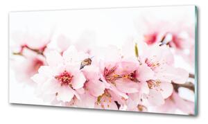 Dekorační panel sklo Květy višně pksh-79943111