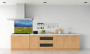 Panel do kuchyně Louka v horách pksh-80010244