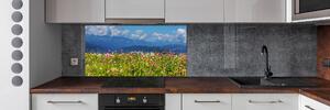 Panel do kuchyně Louka v horách pksh-80010244