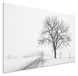 Dekorační panel sklo Strom zima pksh-80032038