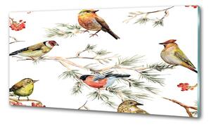 Panel lacobel Lesní ptáci rostliny pksh-80184720