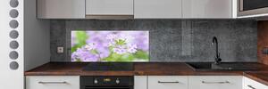 Skleněný panel do kuchyně Werbena pksh-80724437