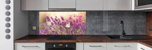 Skleněný panel do kuchyně Levandule pksh-81033568