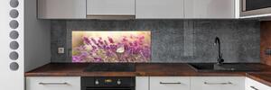 Skleněný panel do kuchyně Levandule pksh-81033568