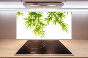 Panel do kuchyně Listí bambusu pksh-81471407